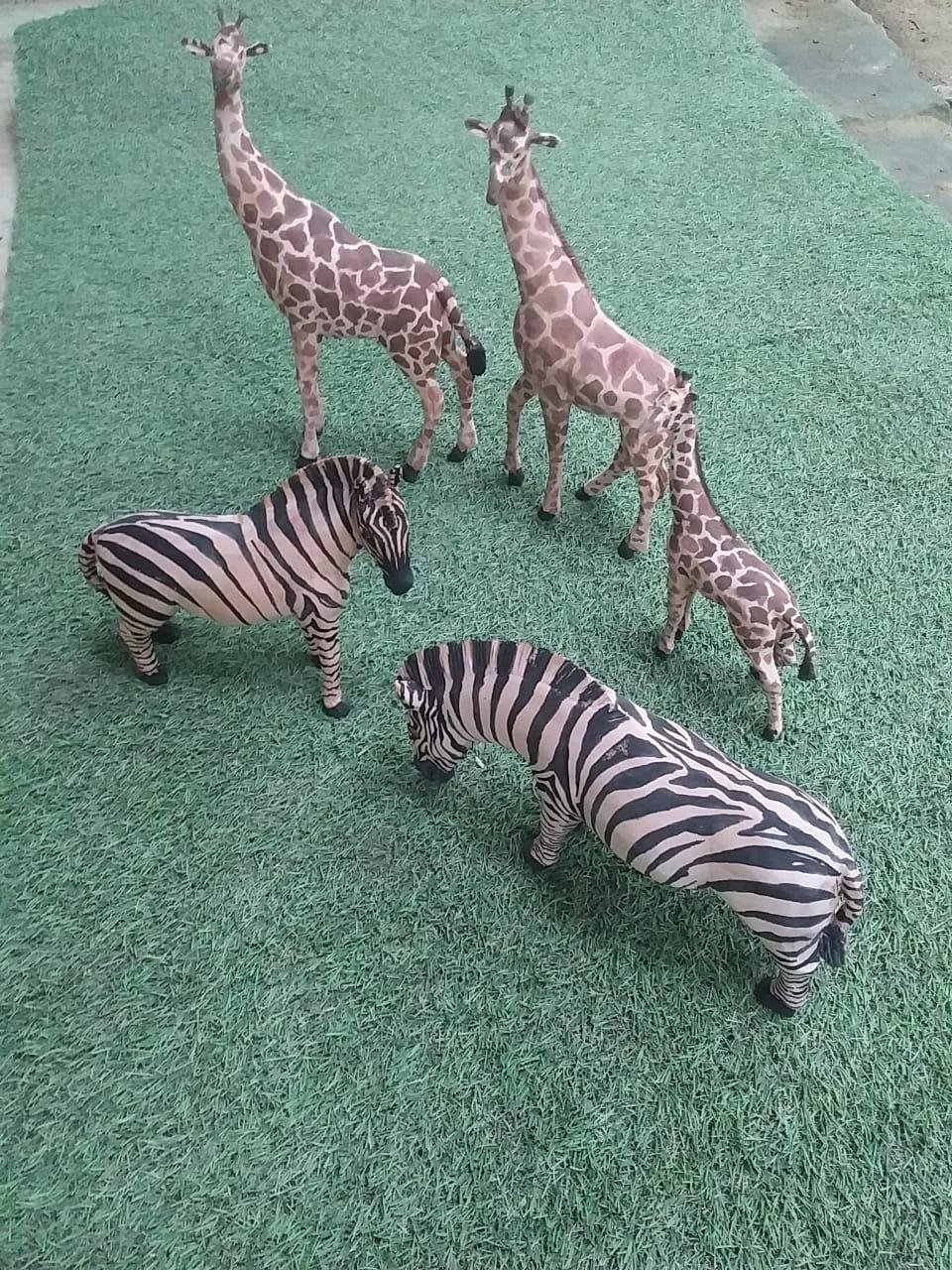 Mamíferos & Aves